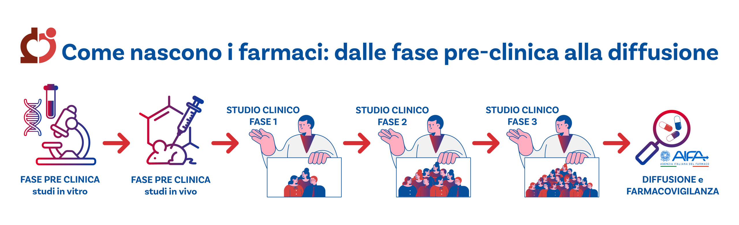Infografica su come nascono i farmaci